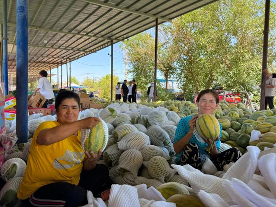 高昌区三堡乡阿瓦提村瓜果交易市场工人正在包装甜瓜。黄文娟摄