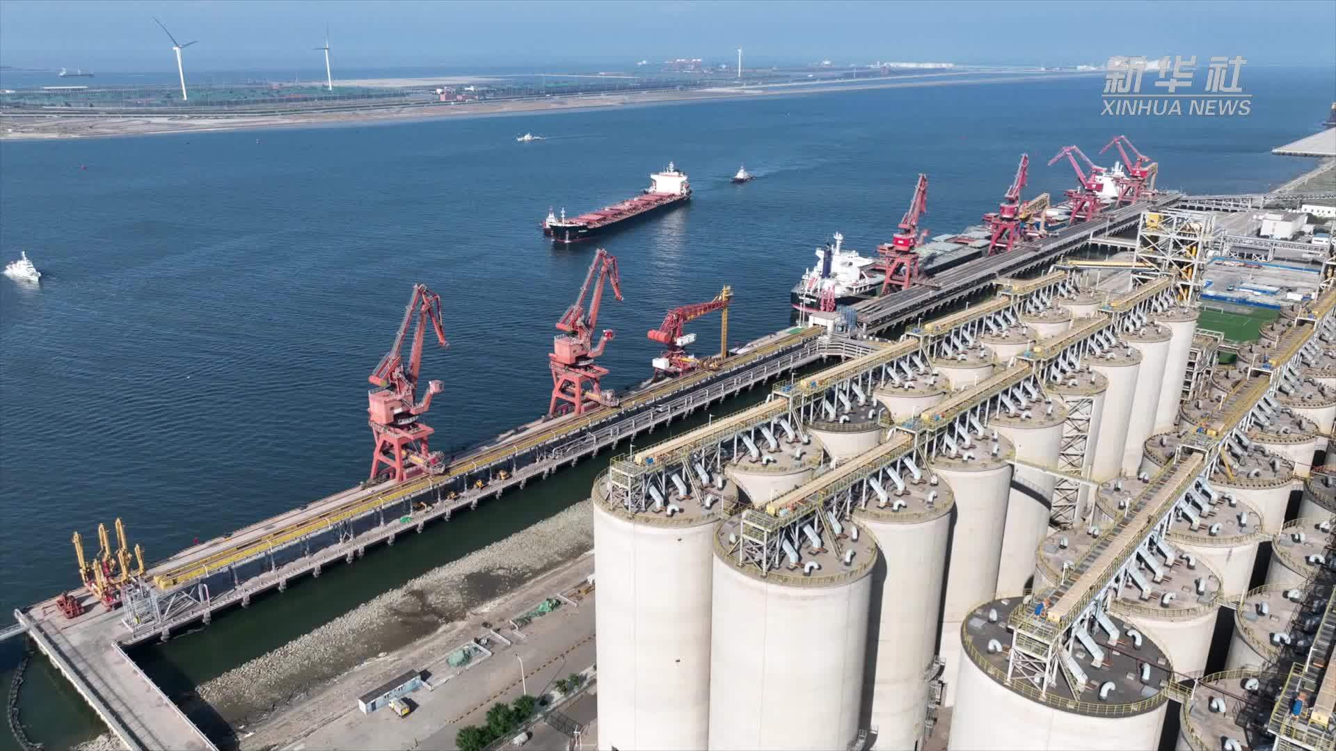 中粮集团首船“零毁林和零植被破坏”巴西大豆成功交付