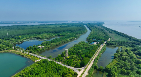 南京长江新济洲国家湿地公园俯瞰图。