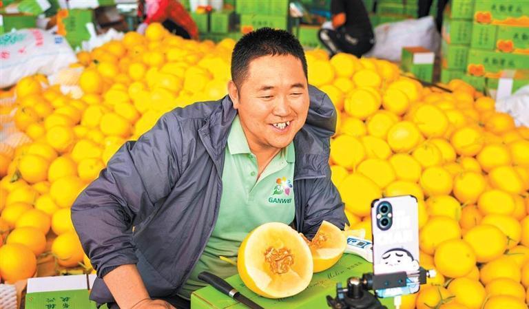 种植户地头直播带货民勤蜜瓜