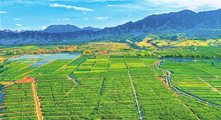蓝天碧水、青山净土，共同塑造了绿色、有机、优质、安全的“甘味”特质。本版图片均由甘味品牌中心提供