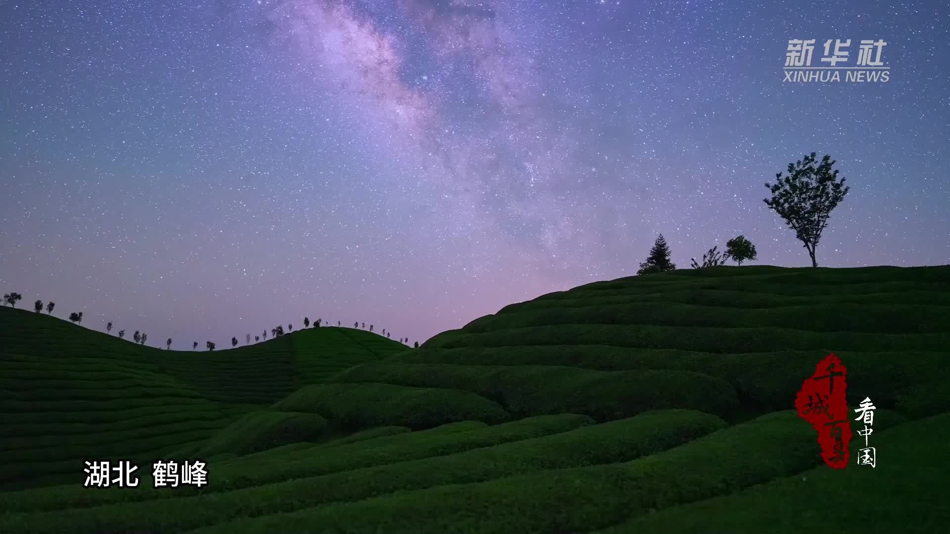 千城百县看中国｜木耳山茶园星空入选全国“天气气候景观观赏地”