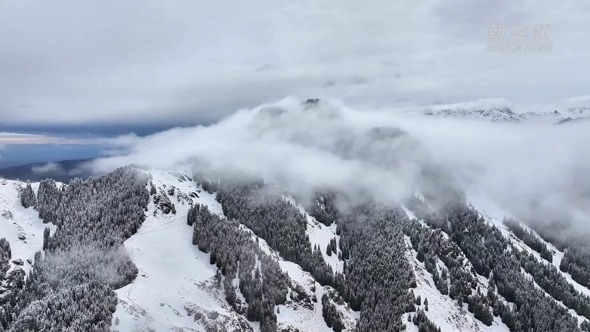 新疆江布拉克：夏日雪景