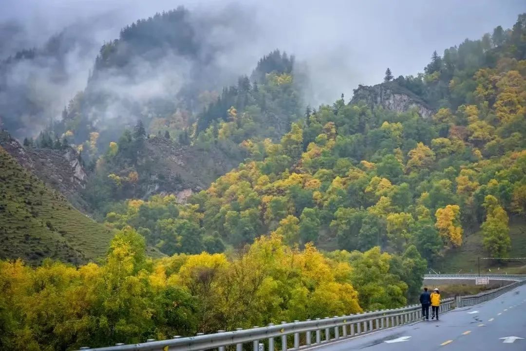 朱岔峡