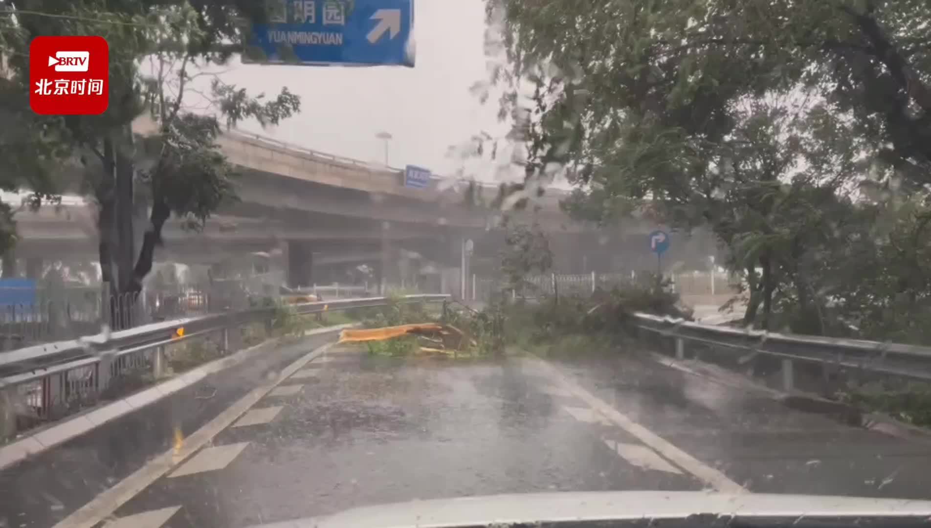 海淀肖家河桥下暴雨树枝断裂阻路请市民耐心等待救援