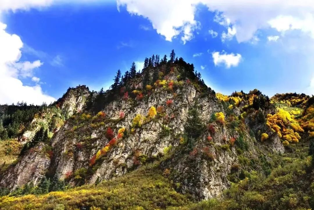 金沙峡