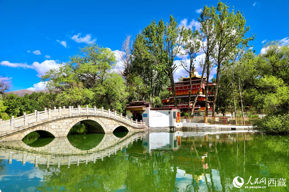 西藏拉萨:宗角禄康公园夏日美景