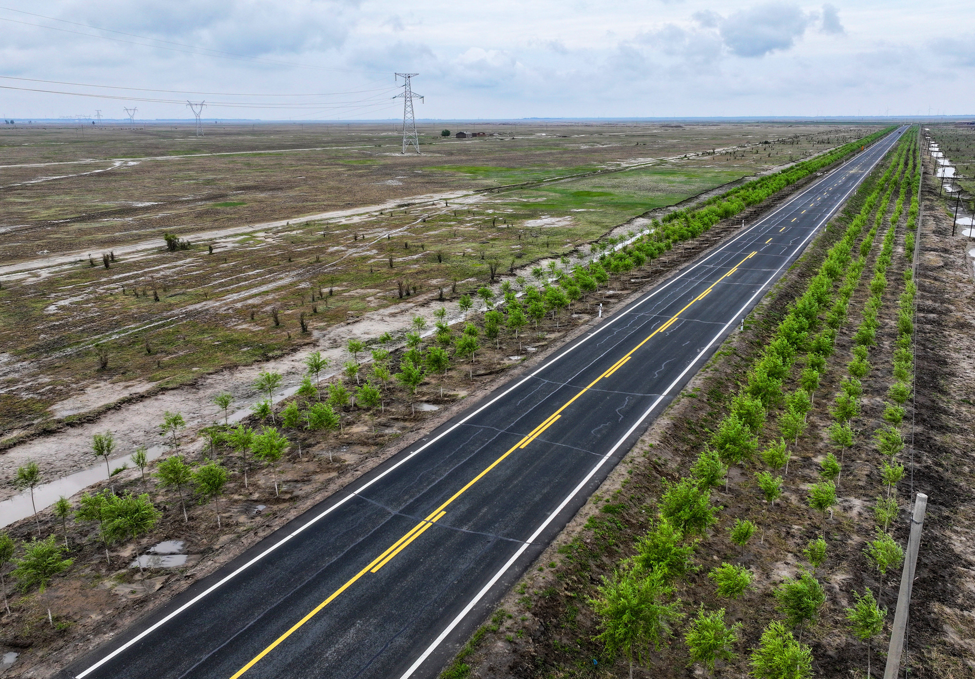 植此青绿筑长城  吉林省“三北”工程攻坚战综述