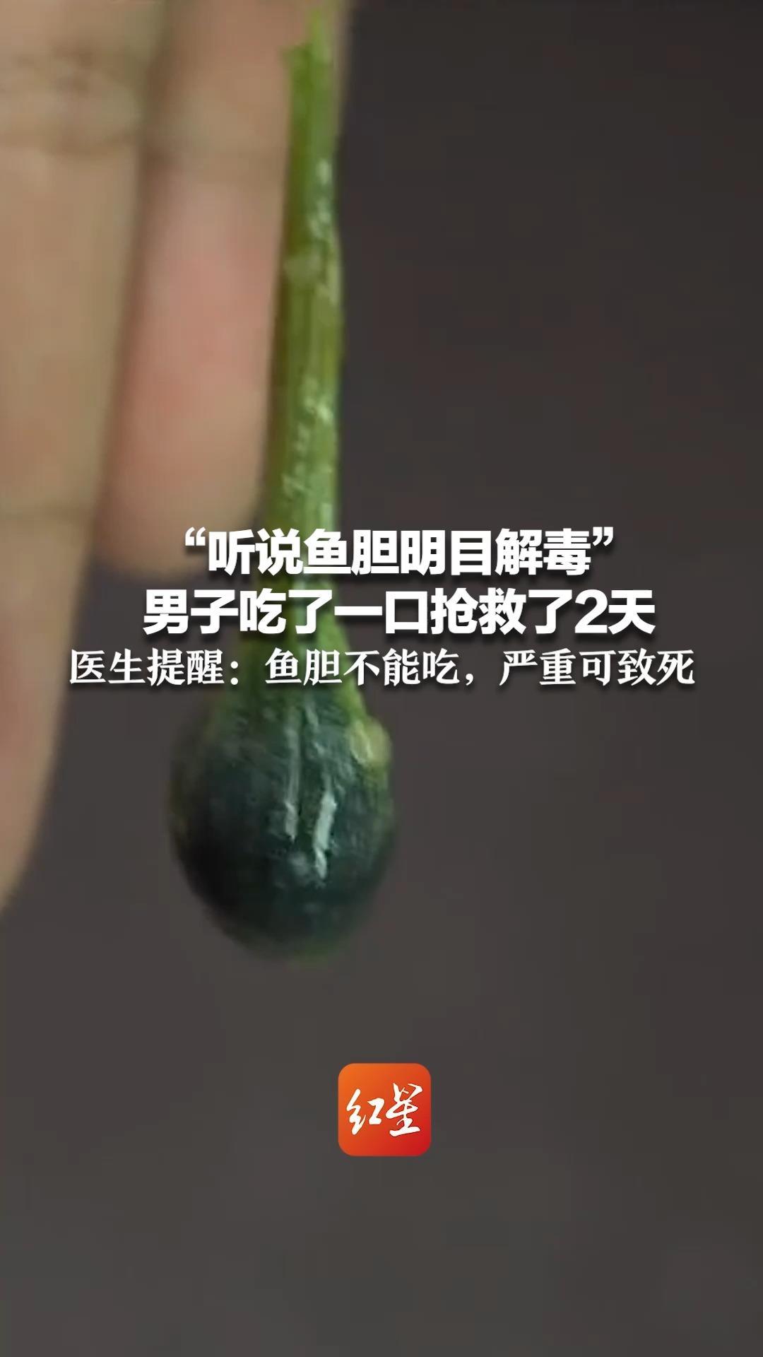 “听说鱼胆明目解毒” 男子吃了一口抢救了2天 医生提醒:鱼胆不能吃,严重可致死_凤凰网视频_凤凰网