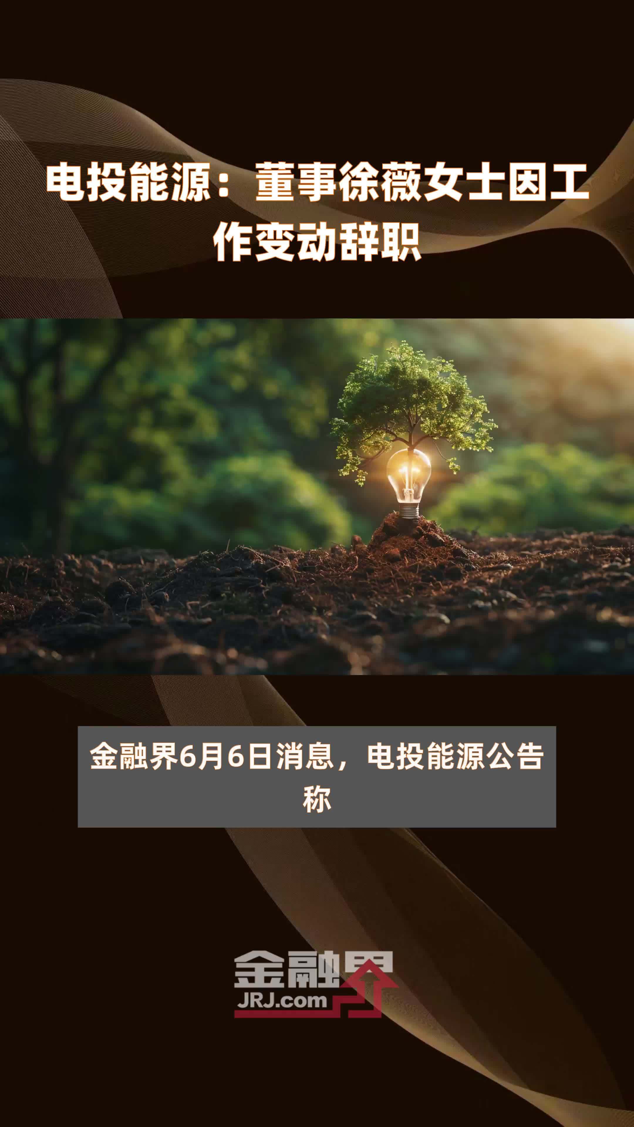 电投能源董事徐薇女士因工作变动辞职快报