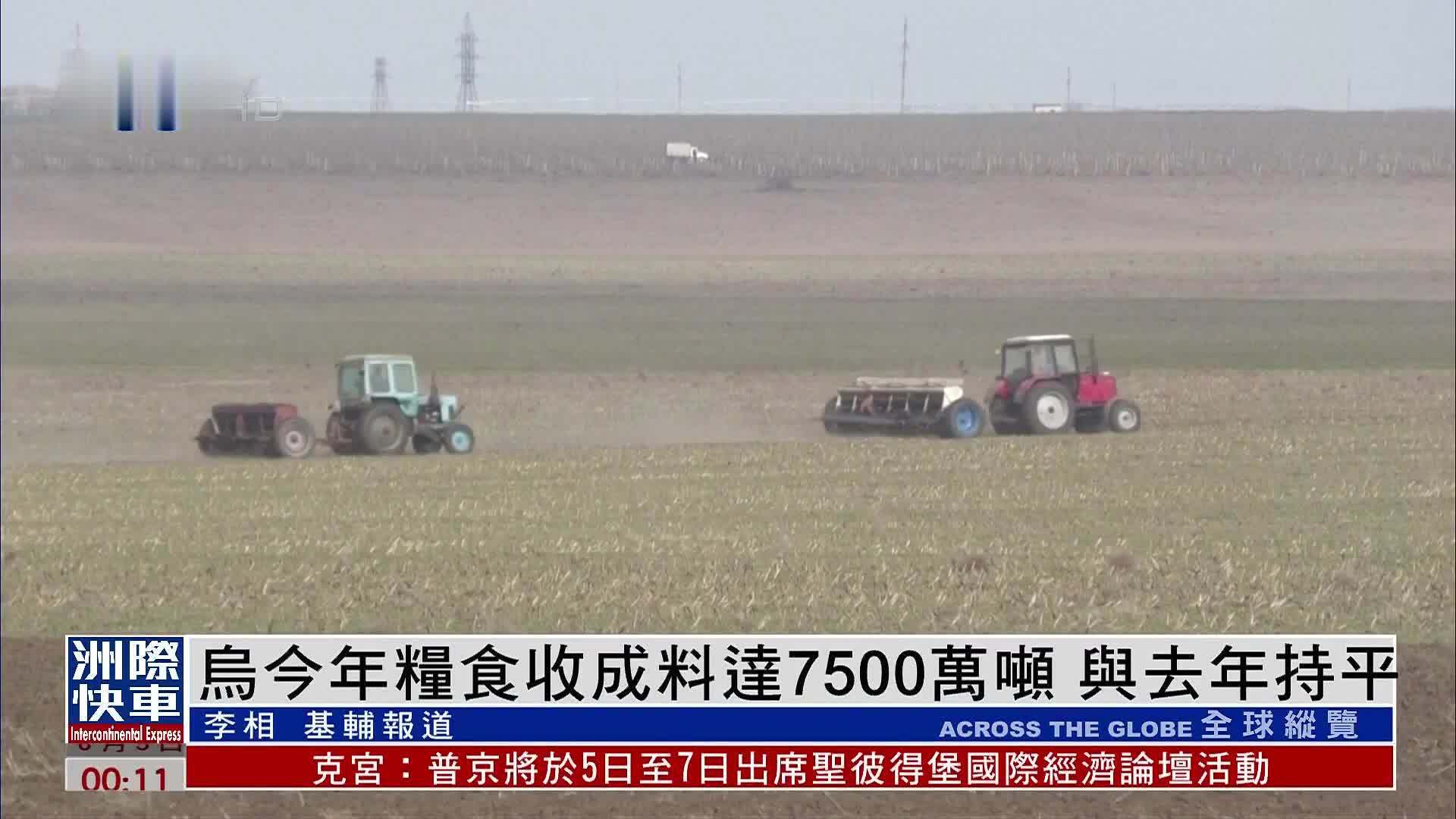 乌克兰2024年粮食收成料达7500万吨 与去年持平