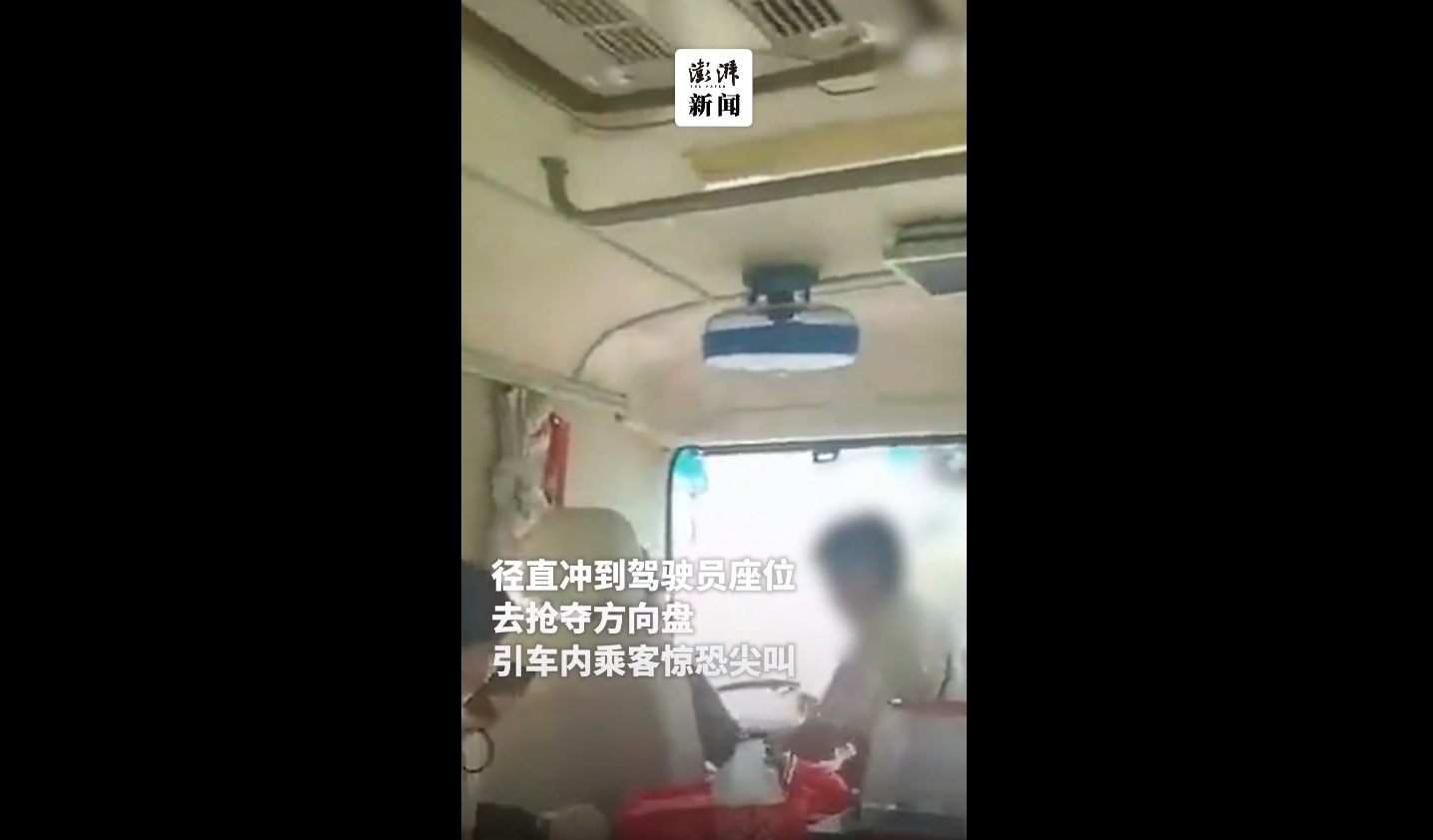 大妈抢夺大巴司机方向盘乘客惊恐尖叫 被湖北通城县警方刑拘