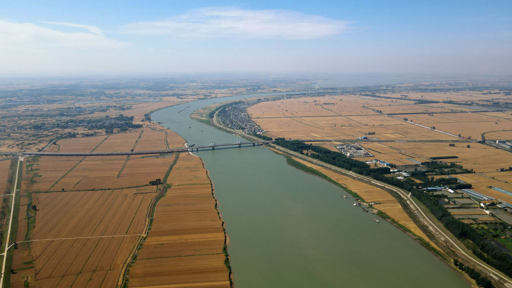 新华社记者 黄博涵 摄5月28日,在河南省武陟县北郭乡东西岗村的麦田