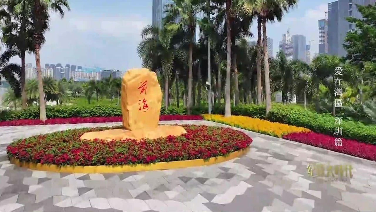 深圳前海顶级的交通配置，利好的人才引进政策，吸引大批香港创业团队入驻