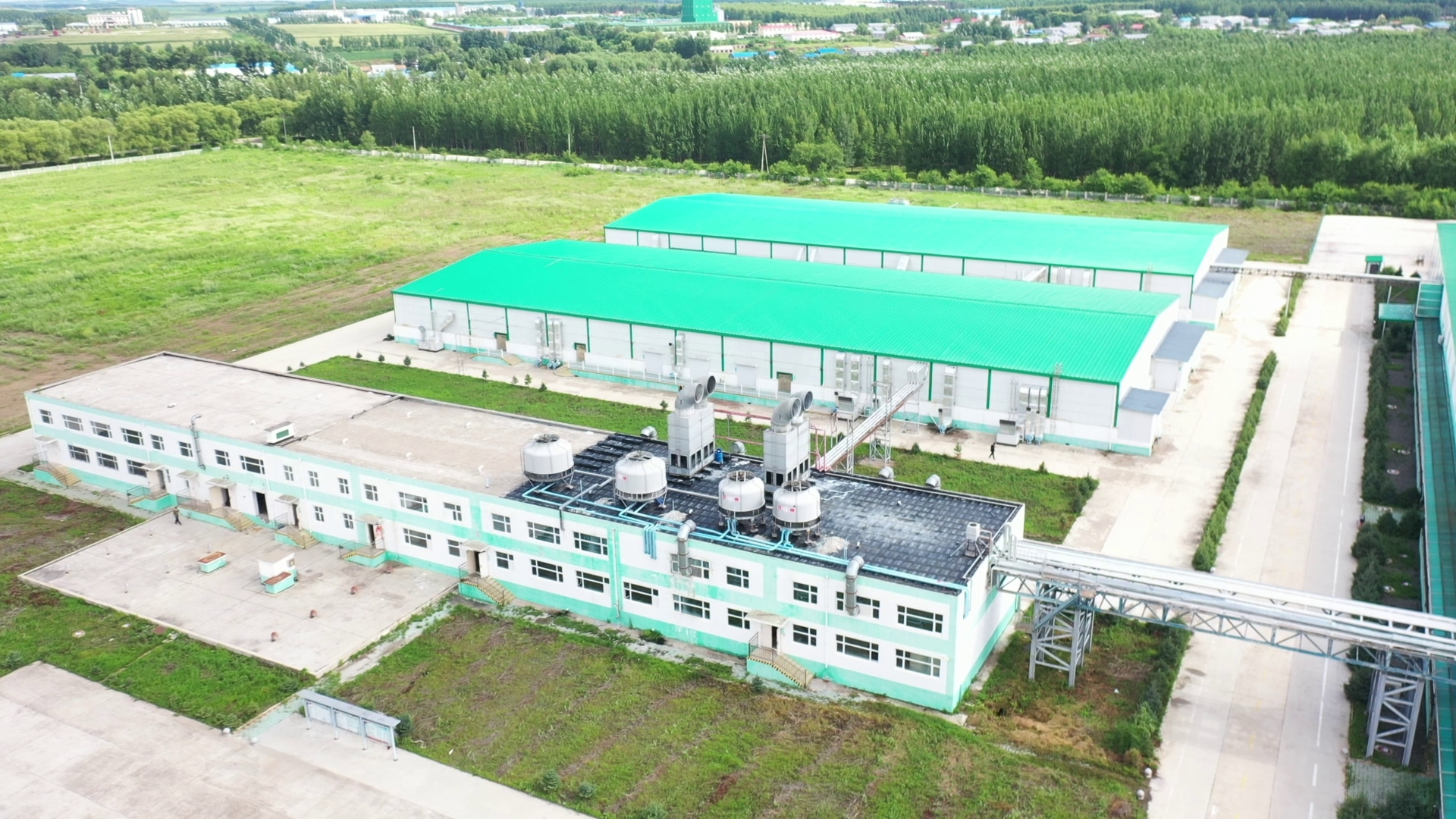 甘南:围绕牧业建链延链 打造两个百亿级产业集群凤凰网黑龙江_凤凰网