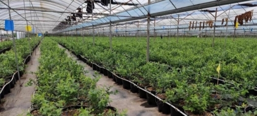 教育部十四五课题研学实践基地在西昌揭牌