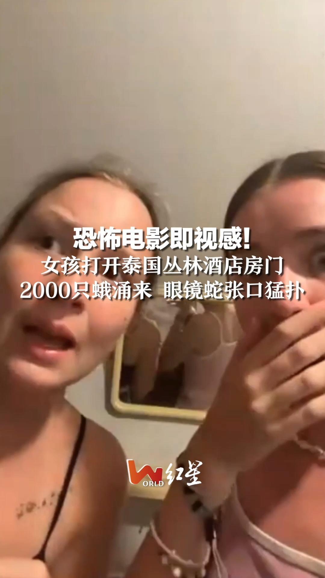 恐怖电影即视感！女孩打开泰国丛林酒店房门，2000只蛾涌来 眼镜蛇张口猛扑