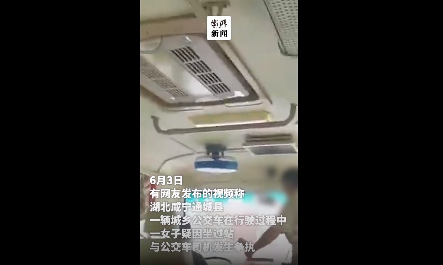 大妈抢夺大巴司机方向盘乘客惊恐尖叫 被湖北通城县警方刑拘