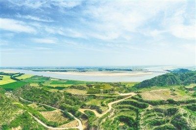 邙岭绿色屏障建设 刘晓飞 摄