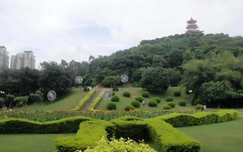 图片来源：网络