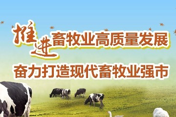 凤凰专题 | 宁波：推进畜牧业高质量发展 奋力打造现代畜牧业强市