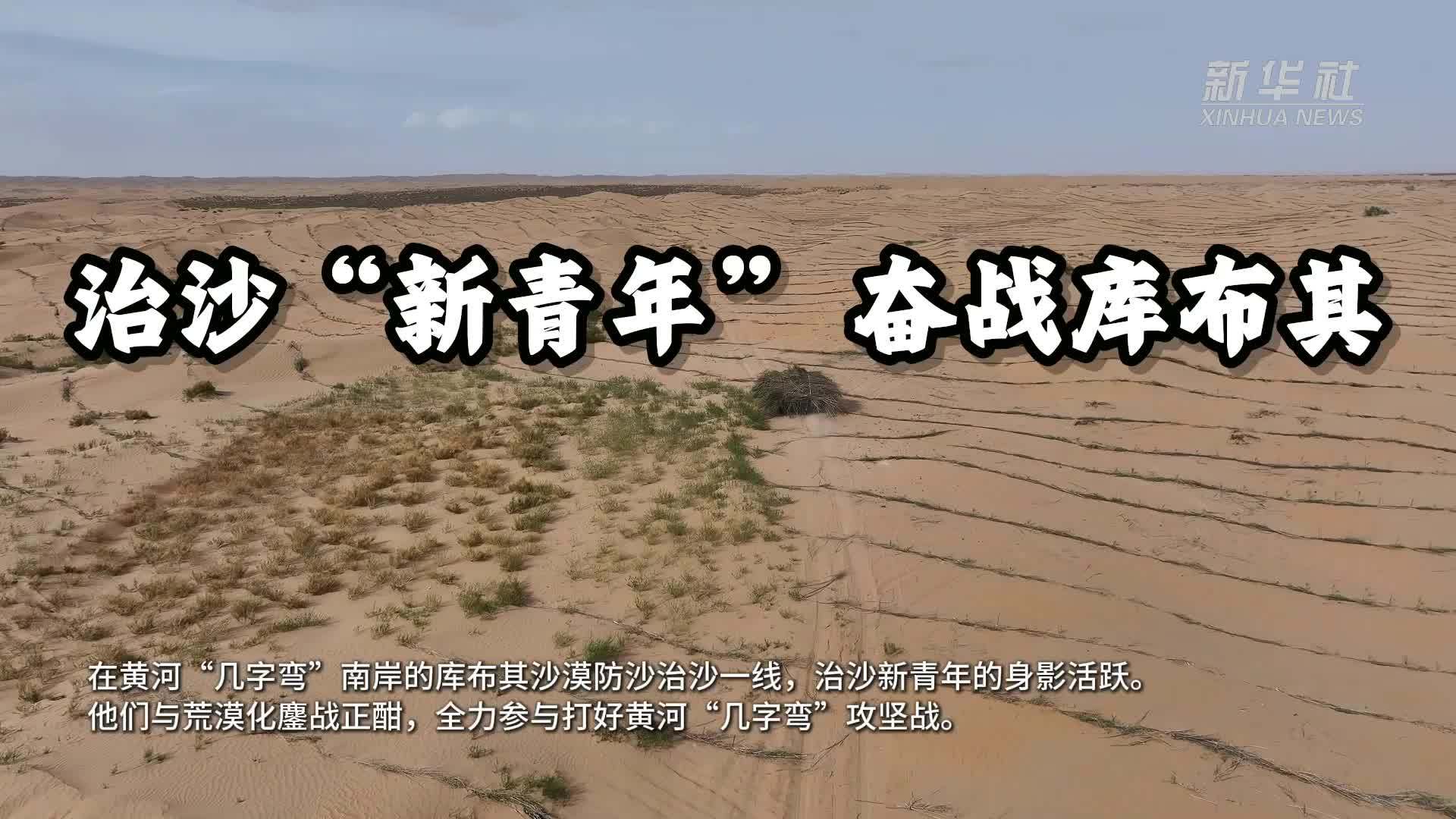 治沙“新青年”奋战库布其