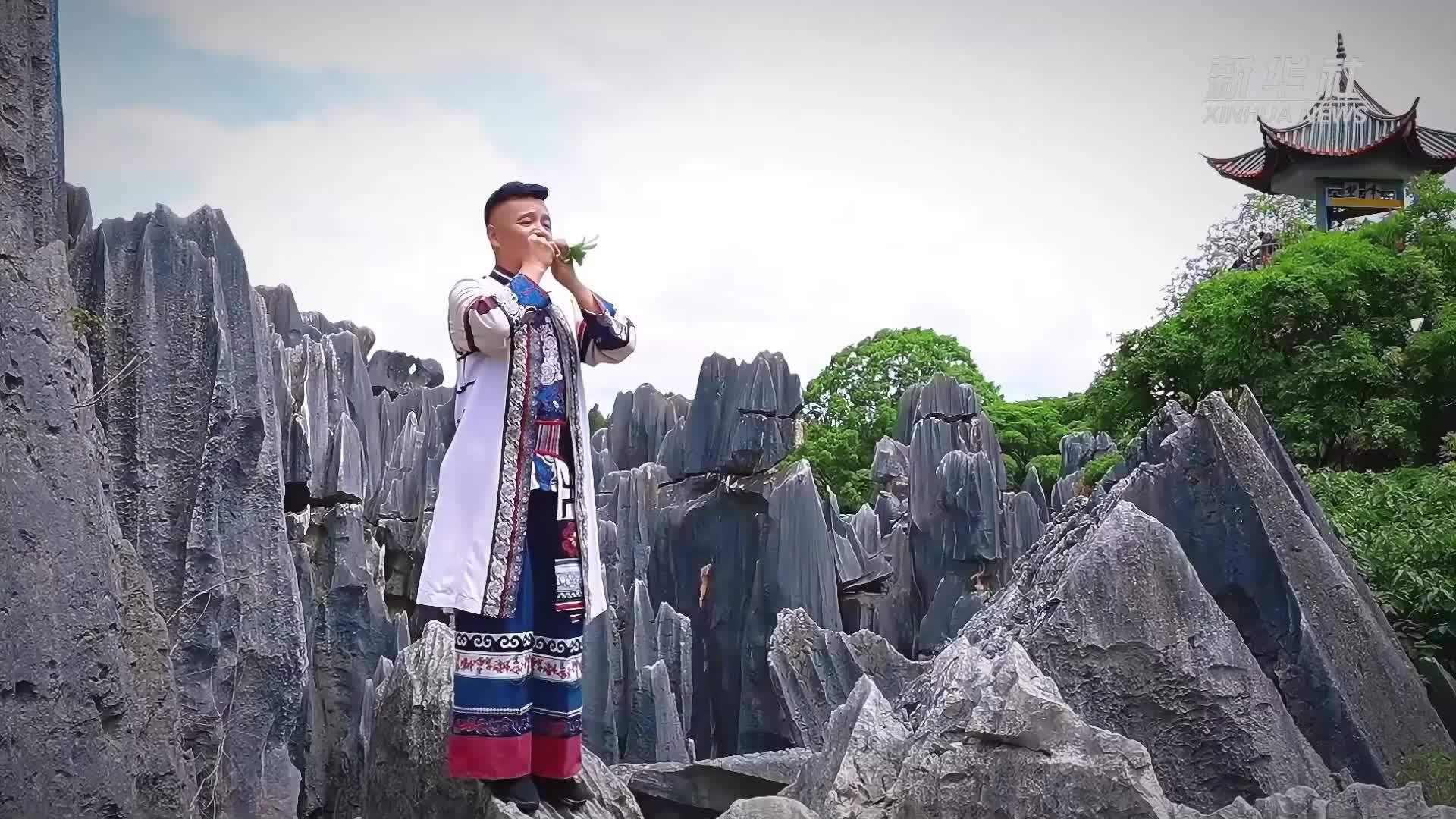 石林一木叶 乐声飘世界