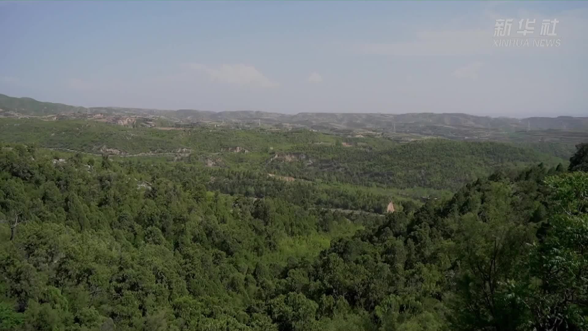 文化和自然遗产日：“寻宝广胜寺”系列——矗立500多年，她为何依旧神采奕奕？