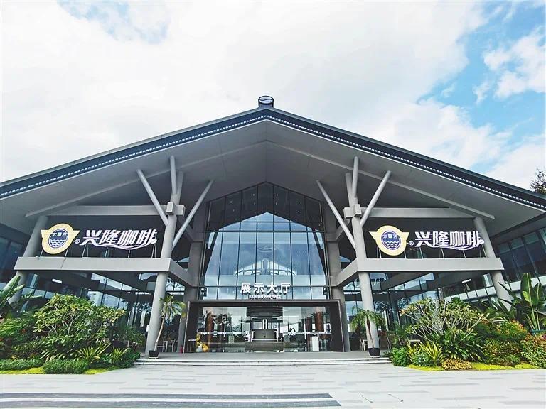 海南万宁:全力打响“兴隆咖啡”品牌 咖啡产业提质增效凤凰网海南_凤凰网