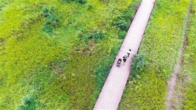 国家郑州黄河湿地公园 马健 摄