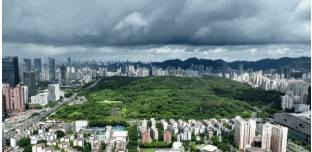 荣膺广东省2023年度创先类区桂冠  福田区以头号力度高质量推进“百千万工程”