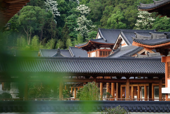 四十八寺入黄檗 | 走进黄檗