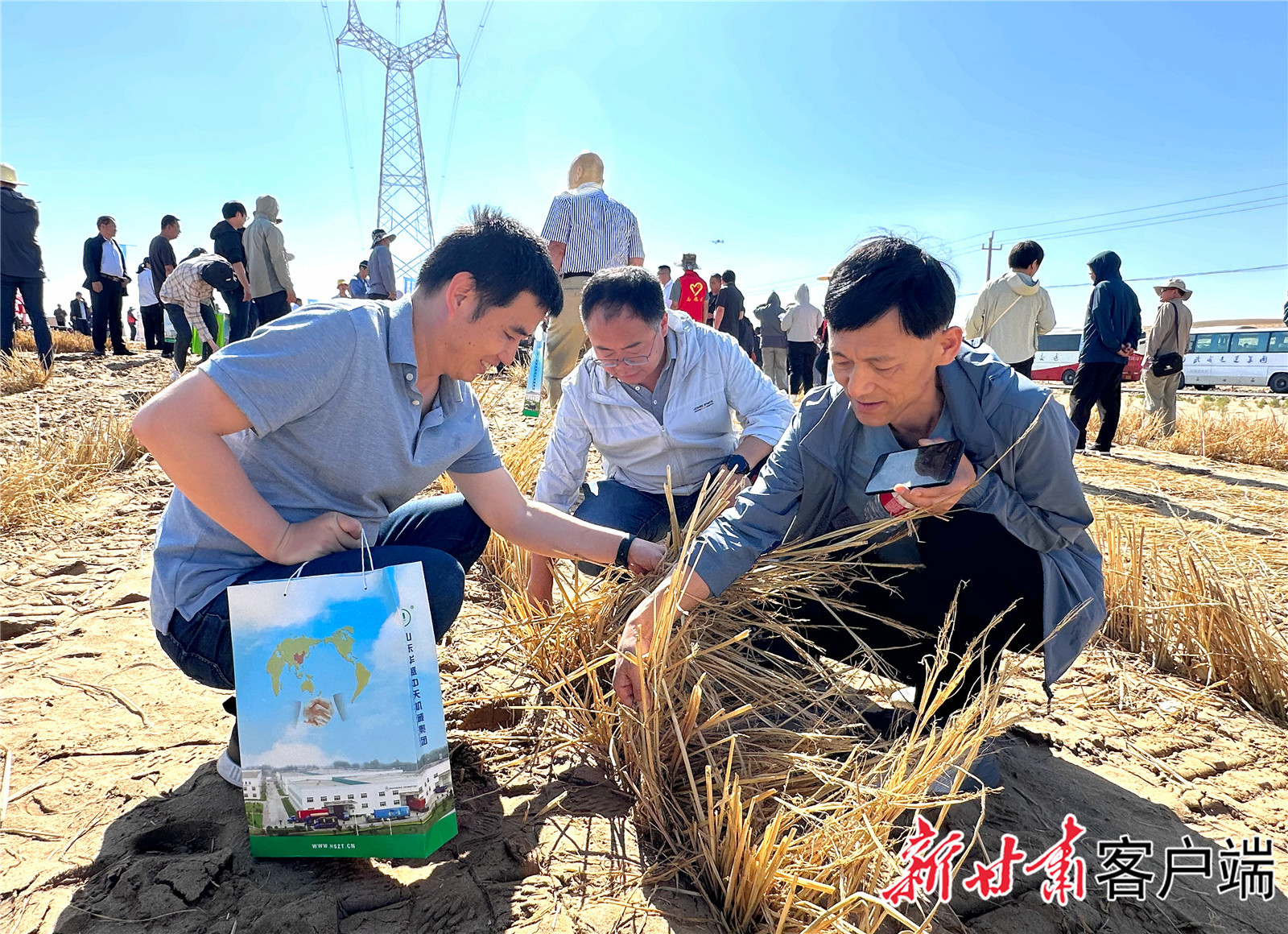 现场查看机械压沙效果　新甘肃&middot;甘肃日报记者　金奉乾　摄