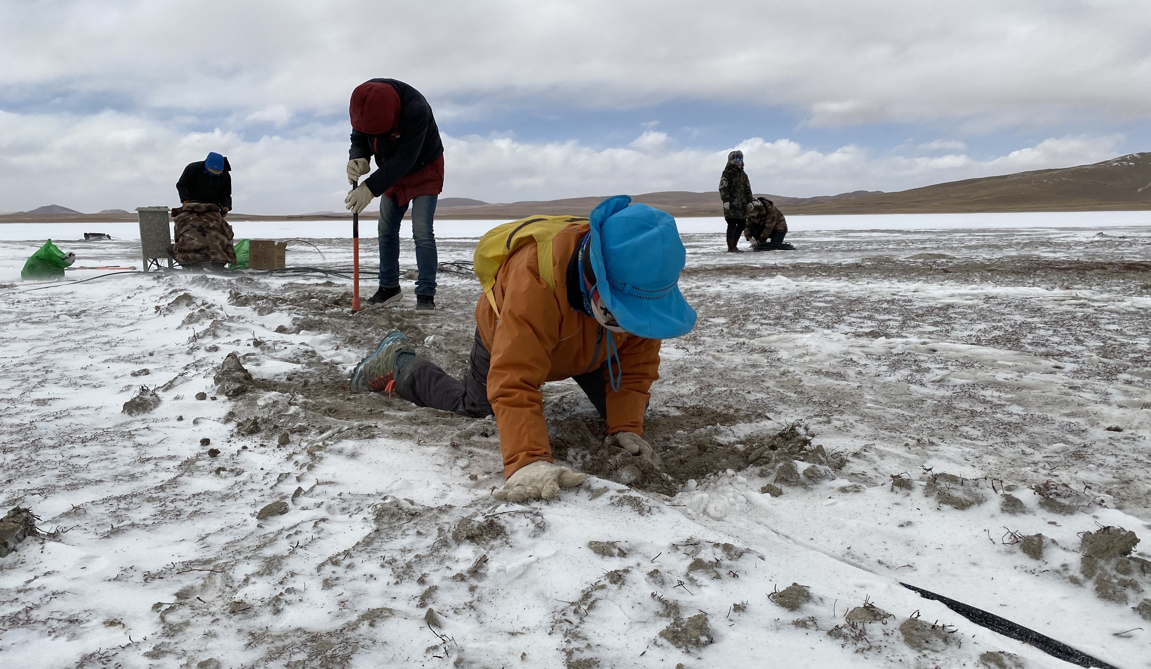寒梅后来参与班德湖野外观测站建设
