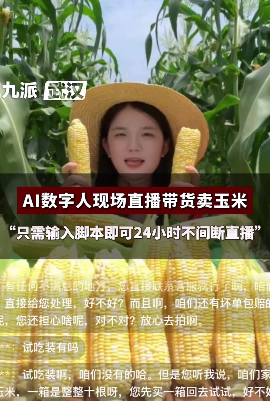AI数字人帮农户直播带货卖玉米 ：输入脚本即可7x24小时不间断直播_凤凰网视频_凤凰网