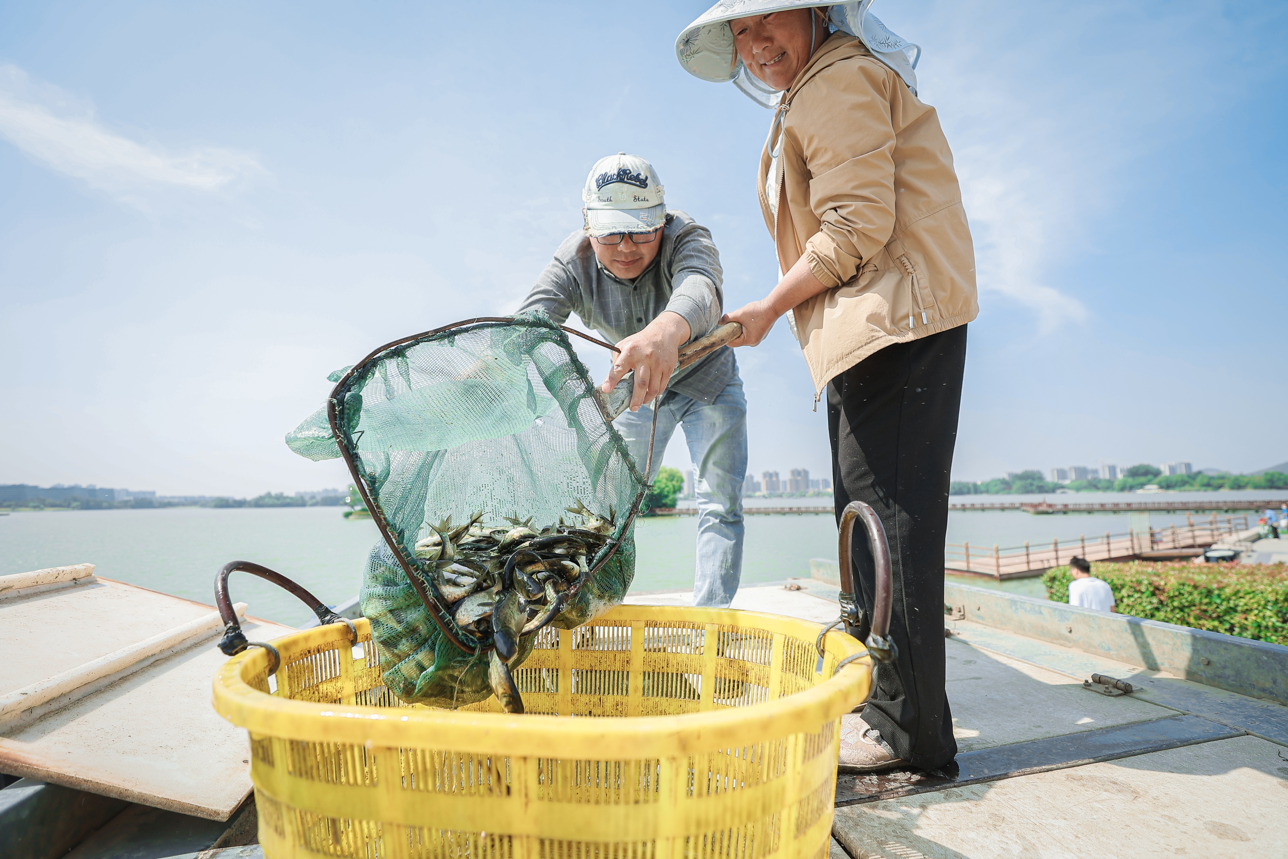 “放鱼日”，10万尾花鲢白鲢游进徐州大龙湖