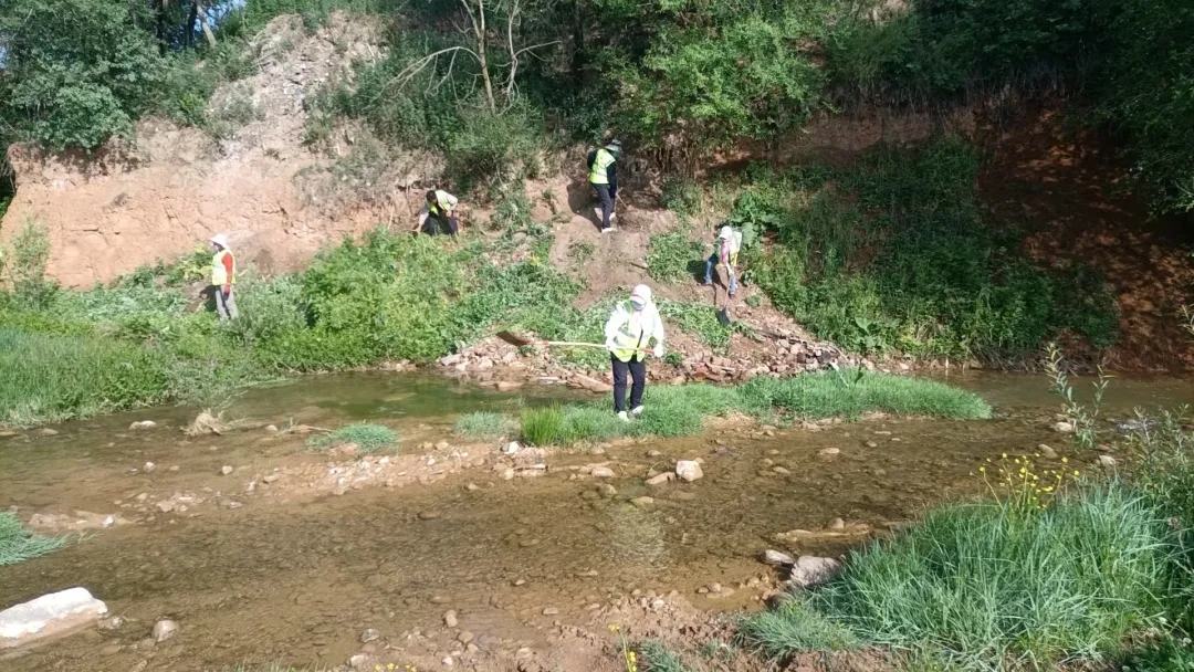 华亭河畅水清岸绿景美入眼来　河长制“功不可没”