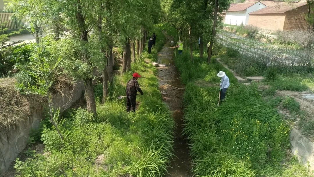 华亭河畅水清岸绿景美入眼来　河长制“功不可没”