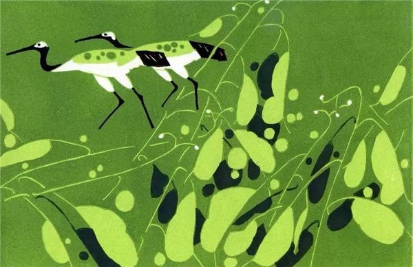 郑子江 《绿色叶子》 版画 2018