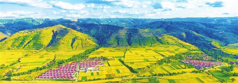 崇信县新窑镇着力改善环境建设美丽乡村　梁乐