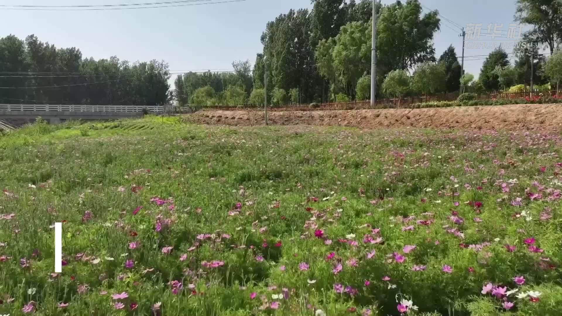 绘就生态新画卷 北京平谷“见缝插绿”打造宜居新家园