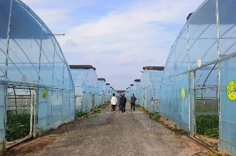 深化“三个年”活动 高质量发展看凤翔走进长青镇高嘴头村