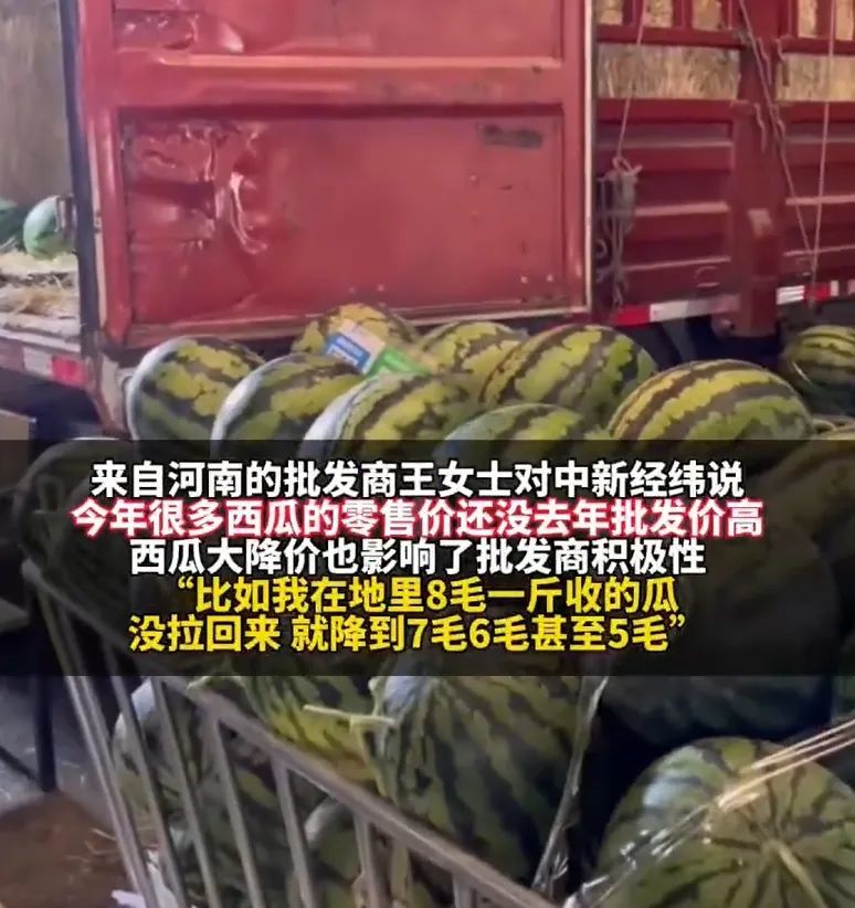 图片来源： 中新经纬视频截图