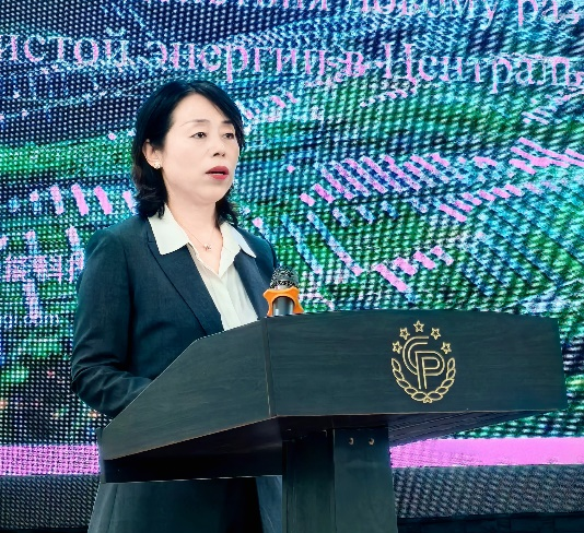 隆基绿能科技有限公司公共事务总经理何漪发言