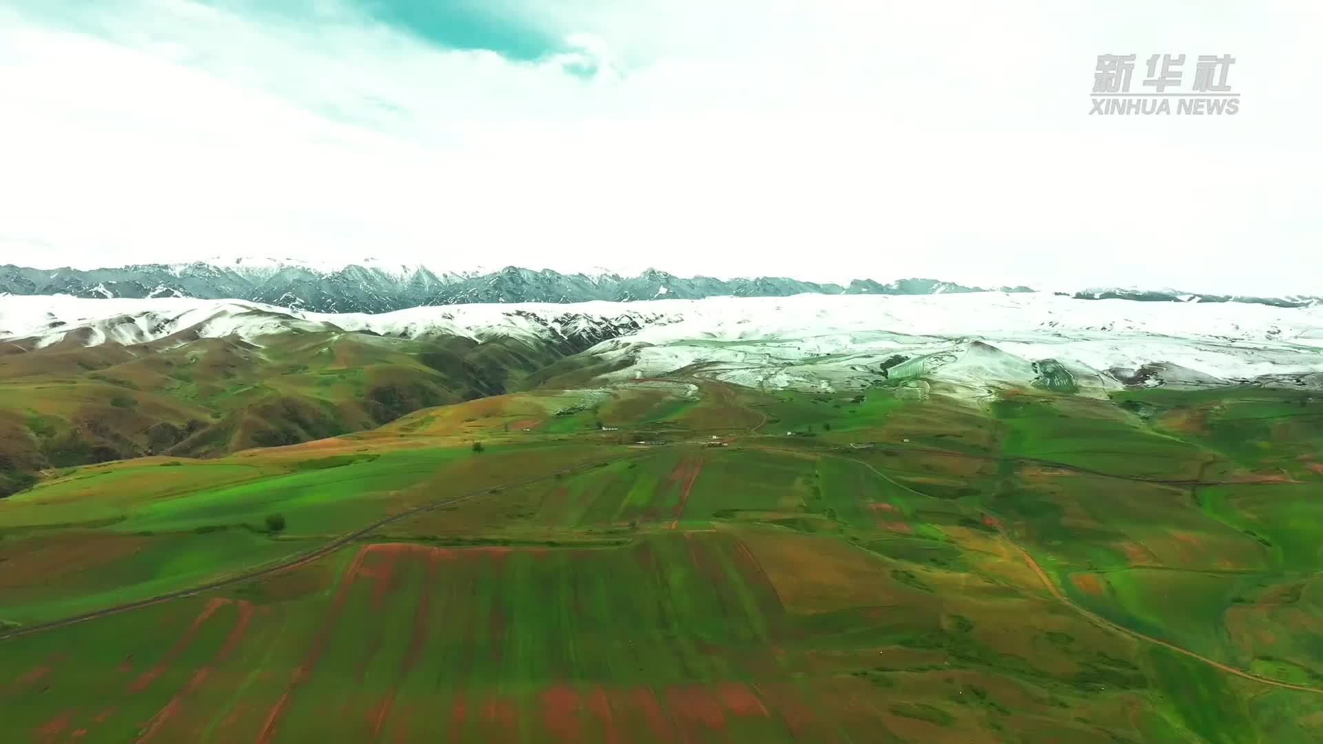 千城胜景｜新疆木垒：雪落初夏