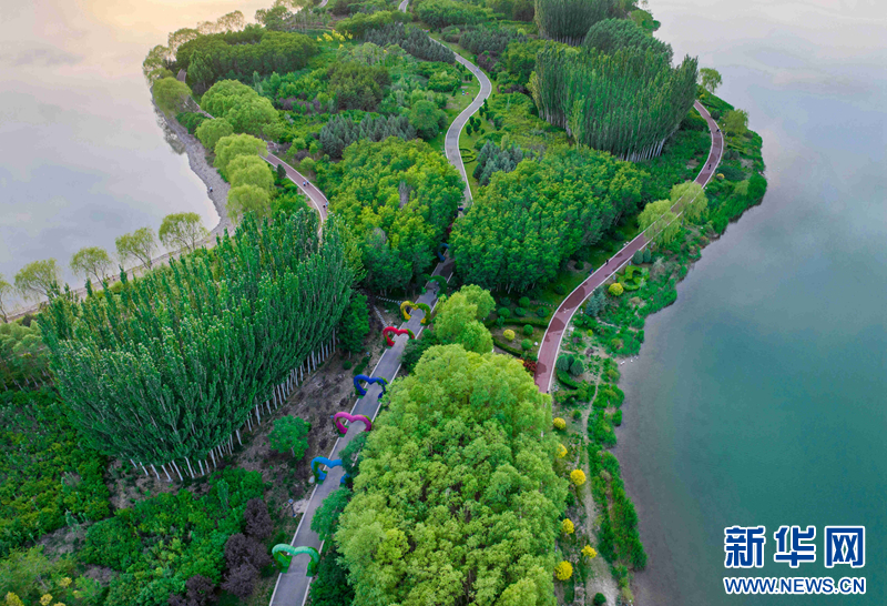 张掖湿地"绿肺"景色美凤凰网甘肃_凤凰网