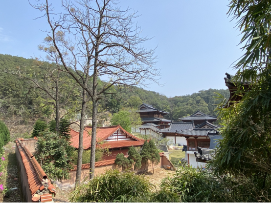 四十八寺入黄檗 | 走进黄檗