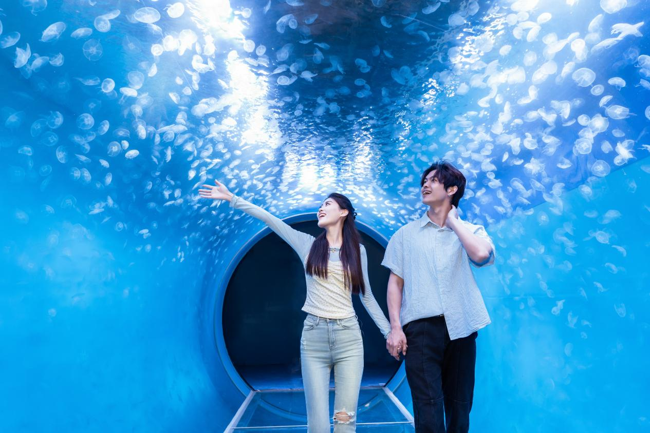 青岛极地海洋公园:北极熊的花式端午,特色“宝粽”庆佳节