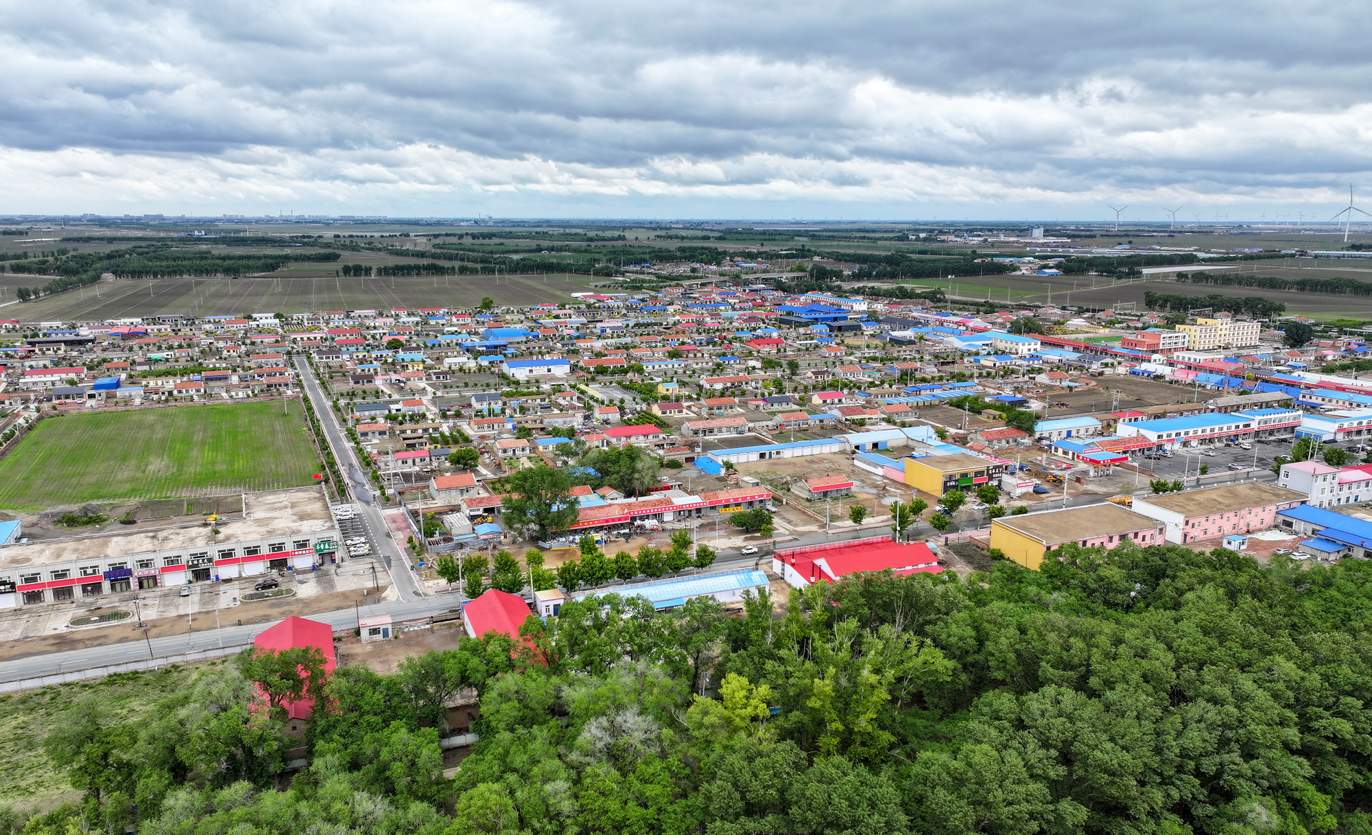 植此青绿筑长城  吉林省“三北”工程攻坚战综述