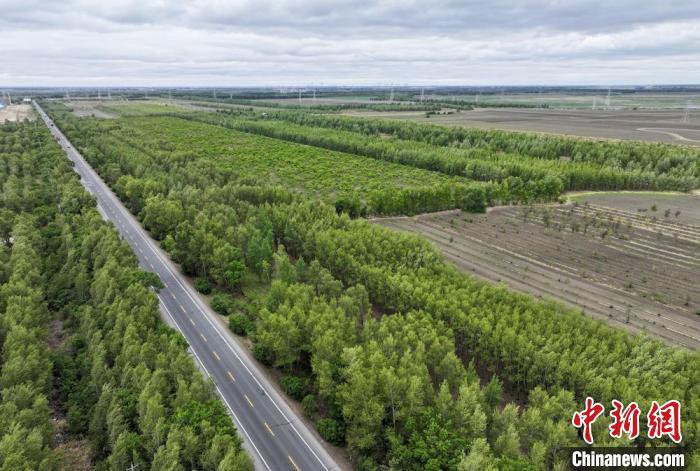 鸟瞰吉林洮南的防护林。赵冷冰 摄